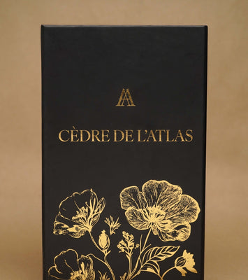 Cèdre de l’Atlas