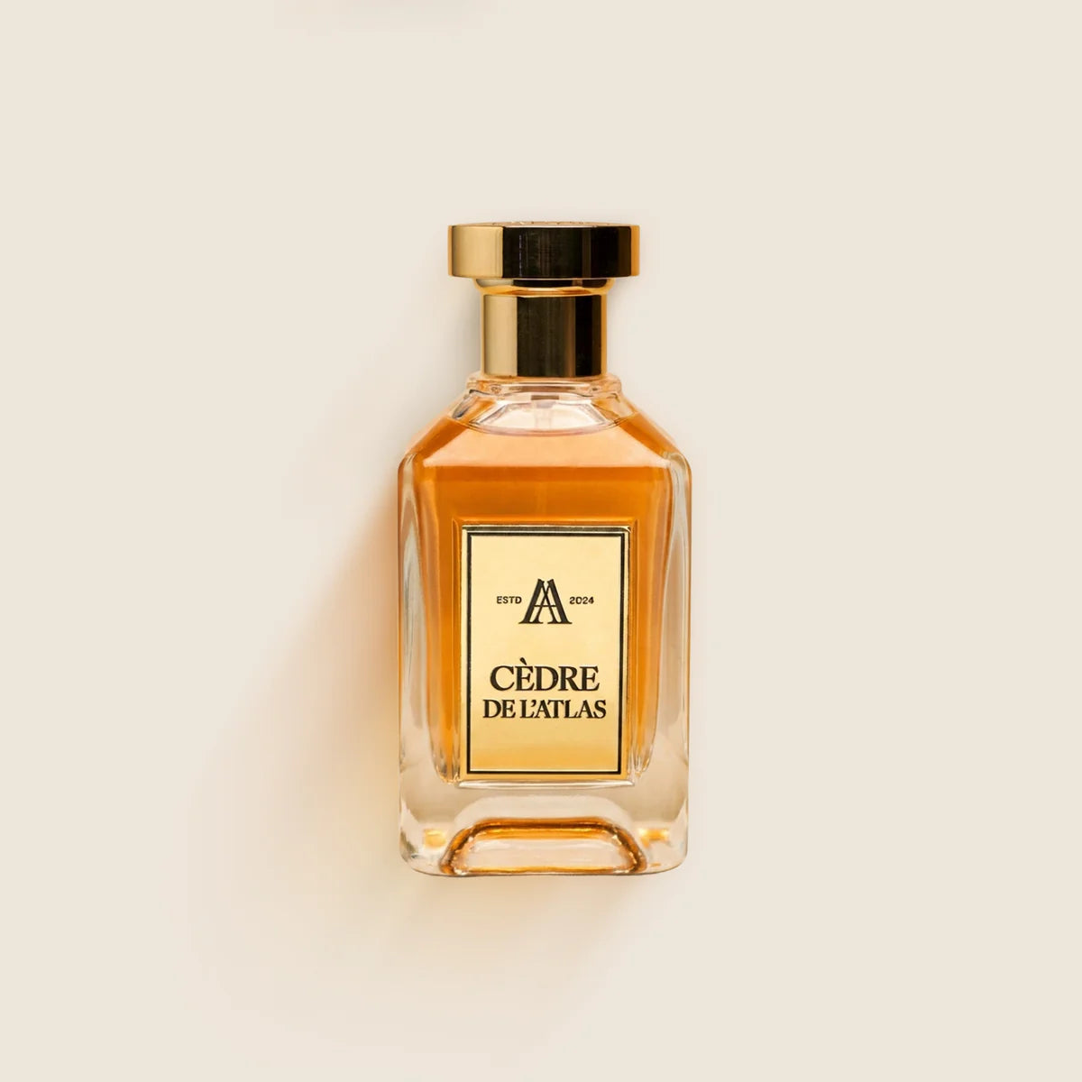 Cèdre de l’Atlas