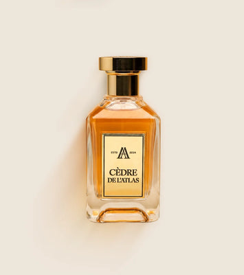 Cèdre de l’Atlas