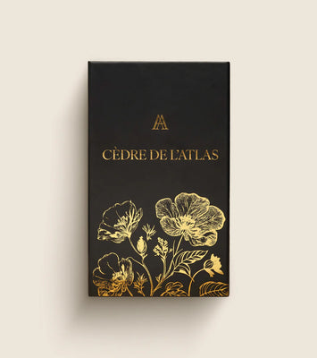 Cèdre de l’Atlas